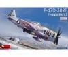 1:48 P-47D-30RE Thunderbolt Basic Kit