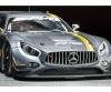 1:24 Mercedes-AMG GT3 #1, scale model kit