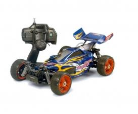 1:10 RC XBG Nitro Thunder 4WD Bug.NDF-01