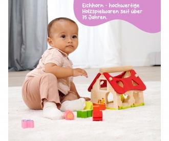 Shape Sorter House