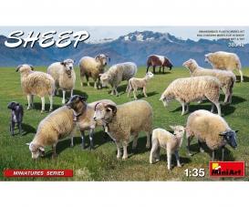 SHEEP