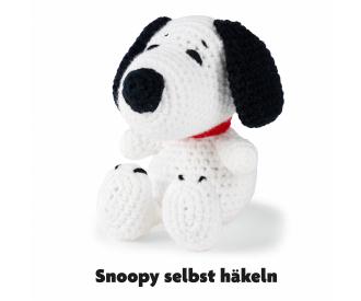 Peanuts Snoopy Crochet Set