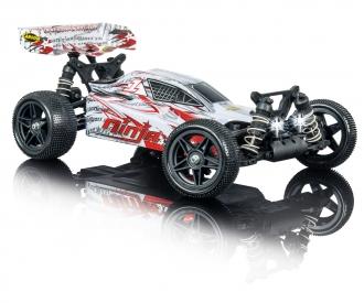 1:10 Ninja 4WD X10 2.4G 100% RTR