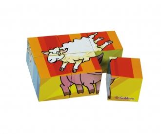 Picture Cube Animals