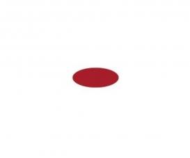 IT peinture acrylique Insignia rouge mat 20ml