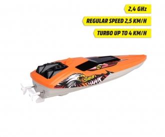 RC Sea Hawk, RTR