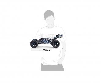 1:8 King of Dirt Buggy 4S RTR