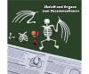 Scout Dissect-It Bat – Kit anatomie chauve-souris