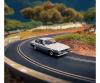 Scalextric The Professionals Capri Twin Pack