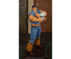 Street Fighter II T. Hawk 8" Figure