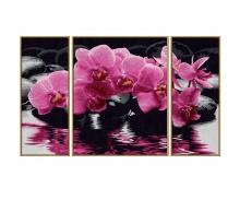 Orchids - painting by numbers