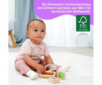 Eichhorn Montessori Fensterbausteine