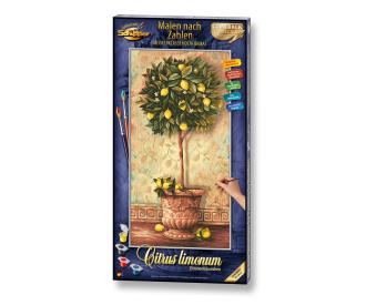 Lemon tree Painting by numbers