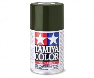 TS-2 Dark Green Flat, spray paint, 100 ml