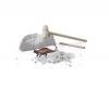 NW Dino Excavation Set, 4pcs