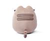 Pusheen sitting