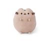 Pusheen sitting