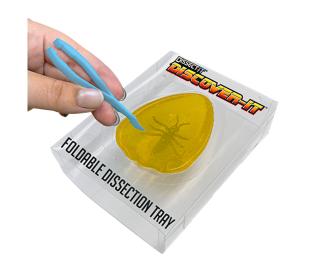 Scout Dissect-It Discovery, 7 versions