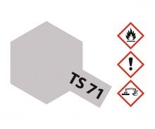 TS-71 Smoke Transparent Gloss Spray Paint 100ml