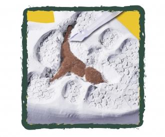 Kit de fouille dinosaure, 6 versions