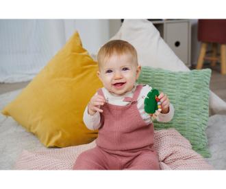 Baby Grasping Toy with Teething Leaf