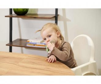 Eichhorn Baby HiPP Teether