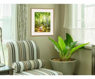 Small Birch Tree Wood 24 x 30 cm - Painting by Numbers