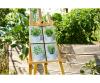 Culinary Herbs Quattro - Painting by Numbers
