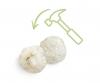 Scout Geodes 5 pcs.