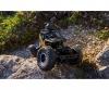 1:14 Movie App Crawlee 2,4G 100%RTR gold