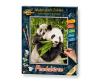 Panda Bears 24 x 30 cm - Painting by Numbers