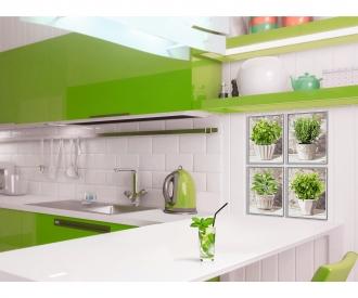 Culinary Herbs - painting by numbers