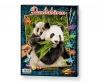 Pandas - painting by numbers