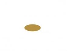 Italeri AcrylicPaint Flat Wood 20 ml Paint