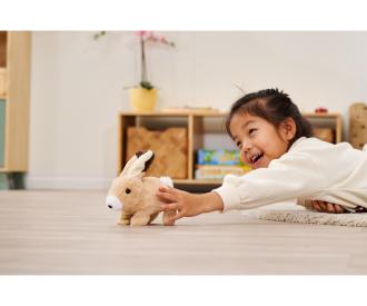 PetZoo BunBun