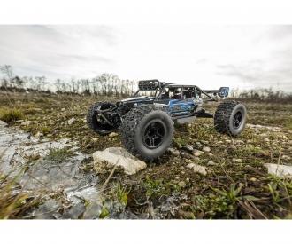 1:8 King of Dirt Buggy V25 GP RTR