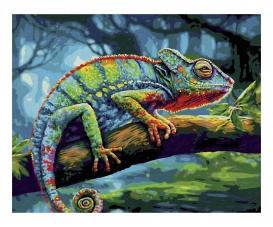 Chameleon 40 x 50 cm - Painting by Numbers