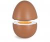 Magnetic Eggs