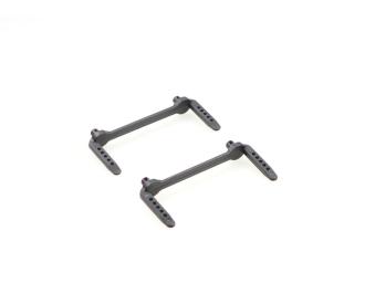 Body mounts (2) front &amp; rear NemeSys