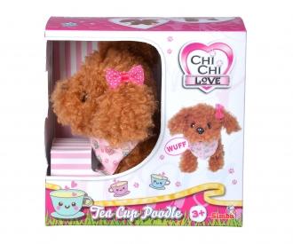 CCL Tea Cup Poodle Puppy