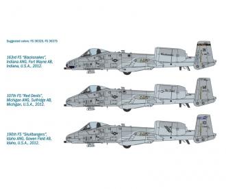 1:48 A-10C " Blacksnakes " (Noyaux noirs)