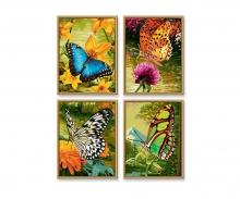 Butterflies Quattro - Painting by Numbers