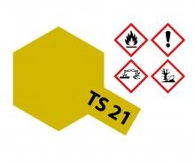 TS-21 Gold Gloss, spray paint, 100 ml aerosol