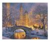 Silent Night in Central Park 40 x 50 cm - Painting by Numbers