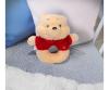 Disney Baby Winnie Puuh Plüsch Rassel