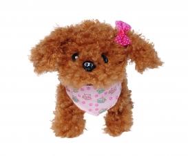 ChiChi LOVE Tea Cup Poodle Puppy