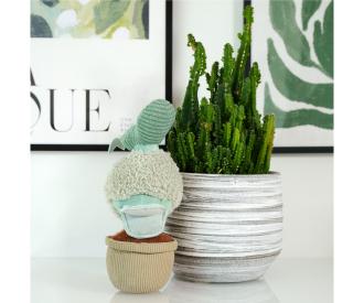 Disney Plants Donald, 22cm