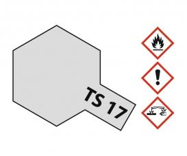 TS-17 Aluminum Silver Gloss, spray paint, 100 ml