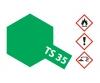 TS-35 Park Green Gloss, spray paint, 100 ml