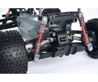 1:10 Race Dragon FE 2.4G 100% RTR